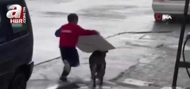 Yağmurda köpeği ıslamaktan koruyan Ayaz o anları anlattı