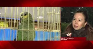 Hayvan hakları yasası değişiyor