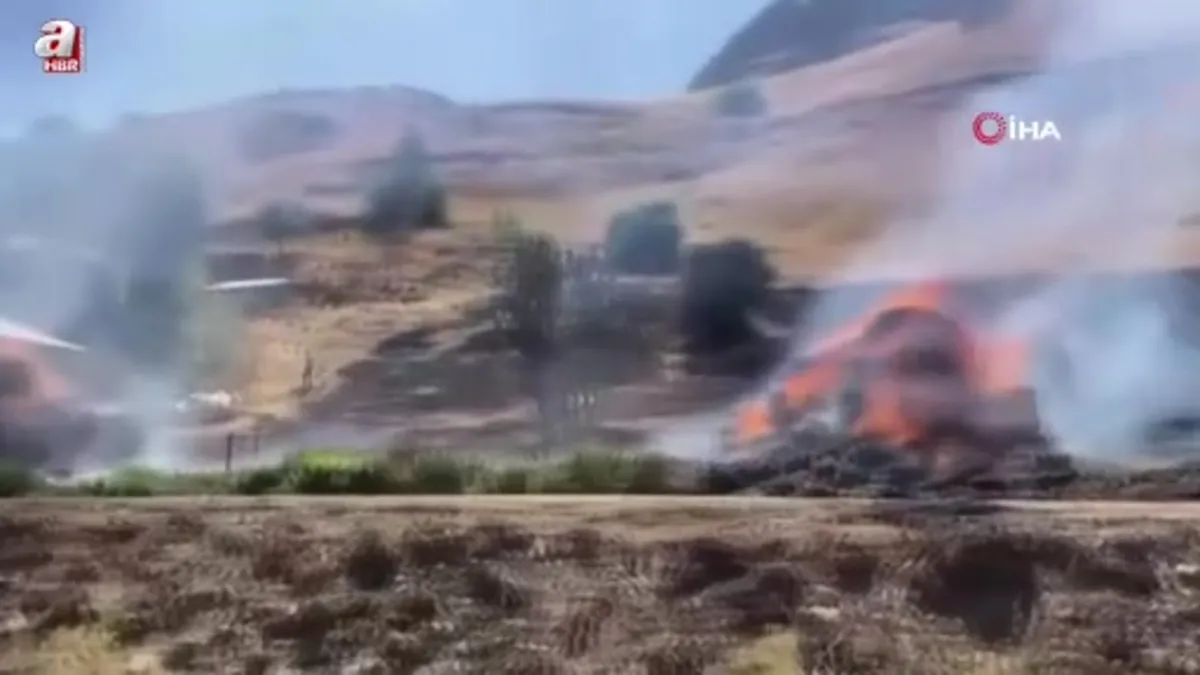 Yüksekova’da 20 bin bağ ot kül oldu