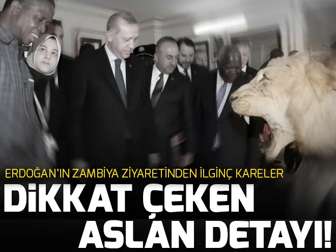 CumhurbaÅkanı ErdoÄan, Zambiyaâda böyle karÅılandı