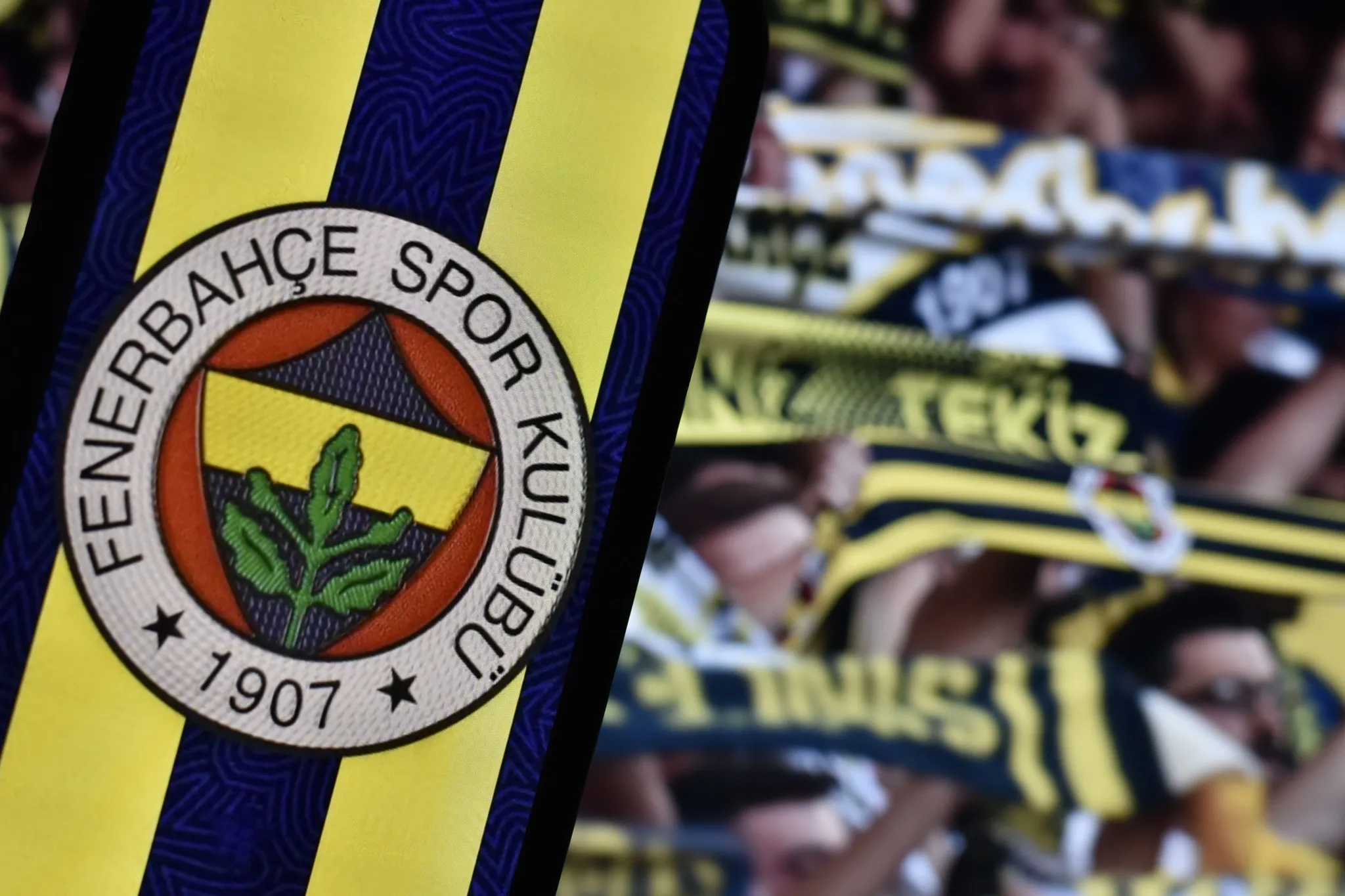 Fenerbahçe başkanlık seçimi ne zaman, kimler aday?