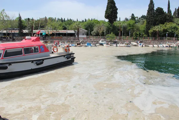 1622613388970.jpg Marmara Denizi’nde deniz salyası kabusu! Kurtarmak için plan - 2