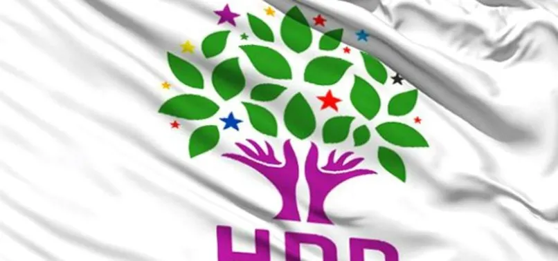 HDP'li Lice Belediye Başkanı Tarık Mercan gözaltına alındı