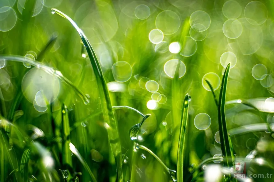 Hangi renk hangi duyguyu tetikliyor? Renkler ruh halinizi etkiliyor! 10