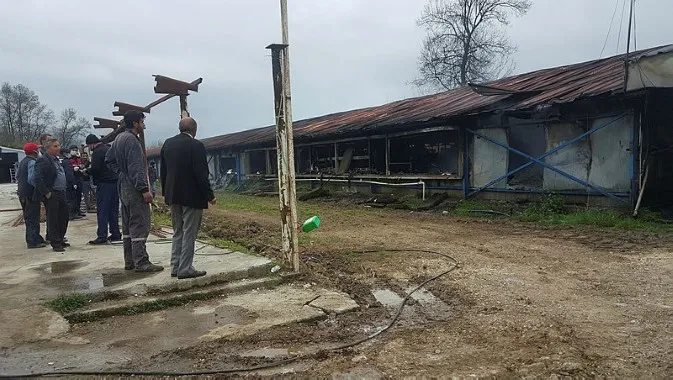 Düzce’de kümeste çıkan yangında 12 bin tavuk telef oldu - 1