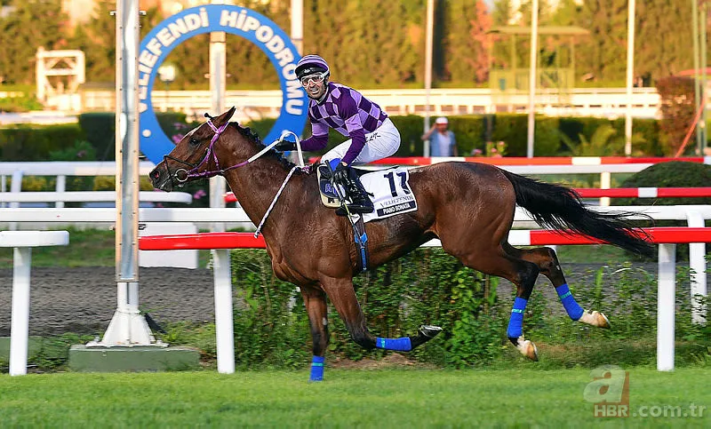 Gazi Koşusu ne zaman saat kaçta? 93. Gazi Koşusu hangi kanalda? 2