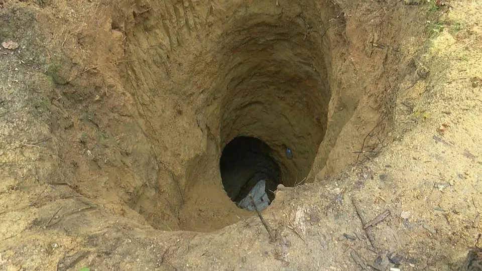 Son dakika | Belgrad Ormanı'nda şoke eden görüntüler! Define avcıları delik deşik etti