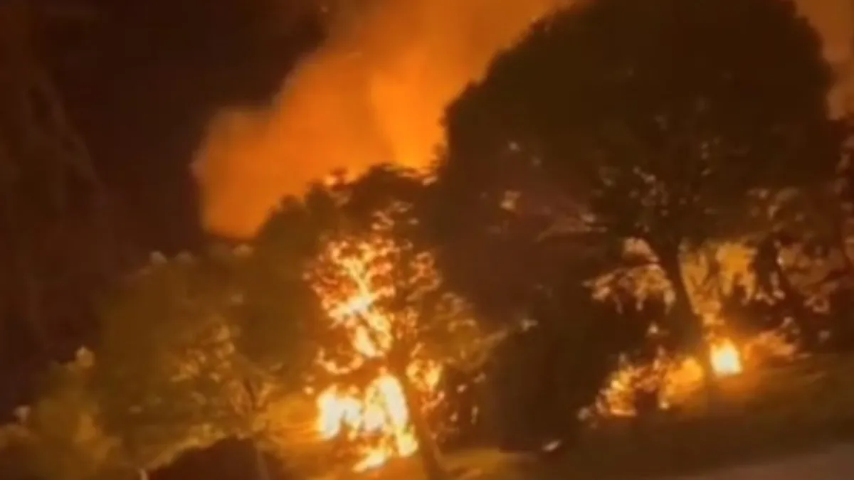 Sultangazi'deki askeri sahaya yakın alanda orman yangını