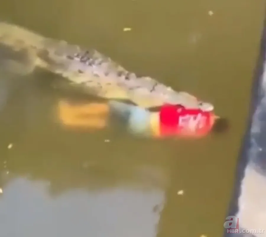 Gören şoke oldu! O ilimizde görüntülendi 4