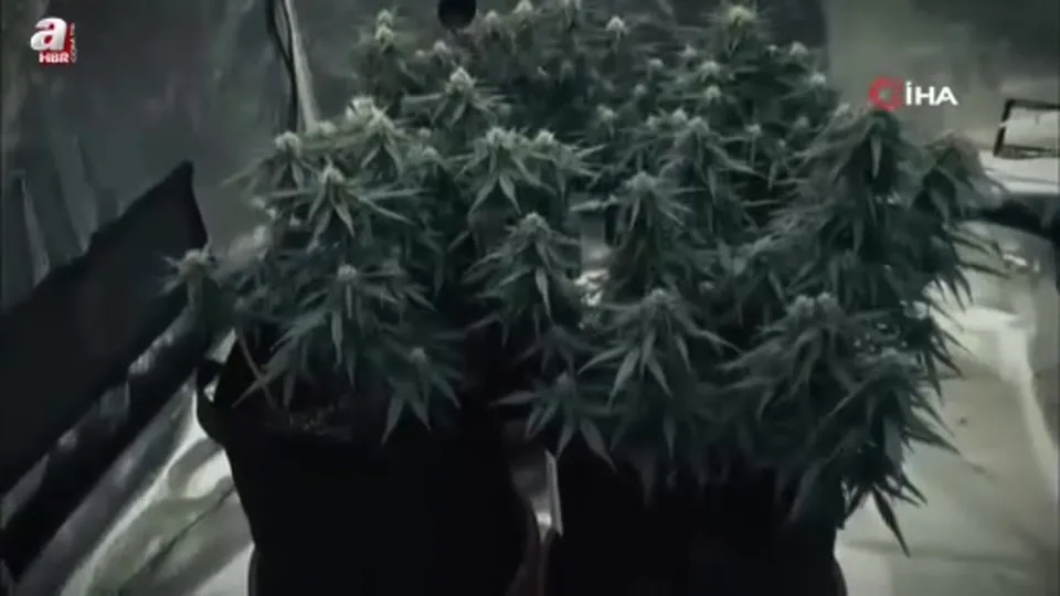 Gardırobu açtılar sera çıktı