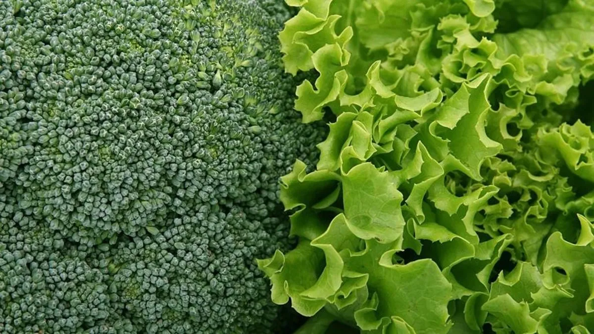 Aylarca taptaze kalsın! Yeşillikleri ömrünü uzatan sırrı keşfedin: Bir tane...