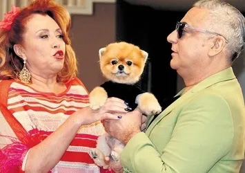 Dizide oynayan pomeranian boo cinsi köpeğe ayda 4 bin TL veriliyor