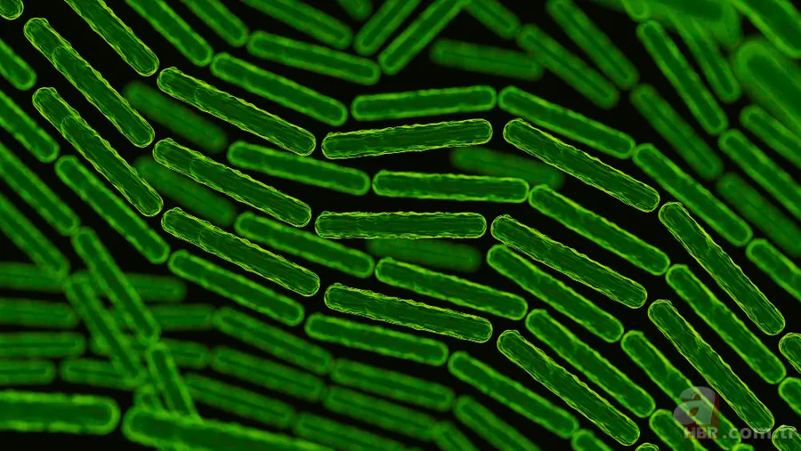 Pluralibacter gergoviae bakterisi nedir? Şampuanda çıkan bakteri zararlı mı? 6
