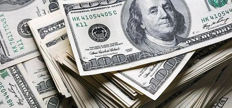 Son dakika: BDDK'dan kur manipülasyonu yapan kişilerle ilgili suç duyurusu