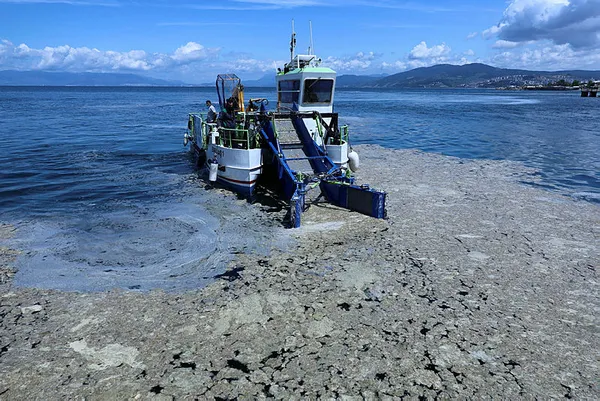 1622655688832.jpg Son dakika: Marmara Denizi'ndeki kirlilik hakkında korkutan açıklamalar! "1 litre atığı kaldıracak gücü kalmadı" - 1