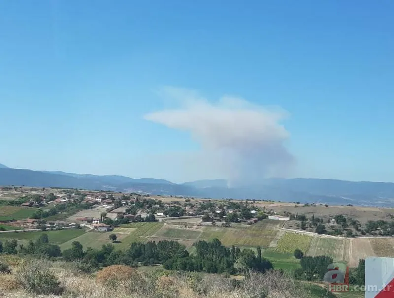 Bursa Yenişehir'de korkutan orman yangını! 5