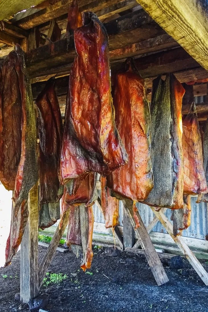 Dikkat! Bu patates ölüme neden oluyor