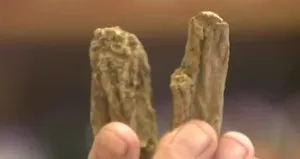 Doğal antibiyotik