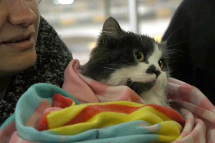 Son dakika: Tahliye edilen Türkler İstanbul’da! Türk vatandaşları için Kiev ve Harkiv’den tren seferi yapılacak