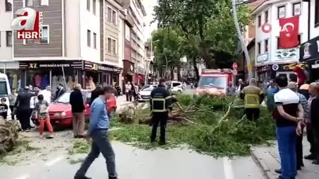 Seyir halindeki otomobilin üzerine ağaç devrildi