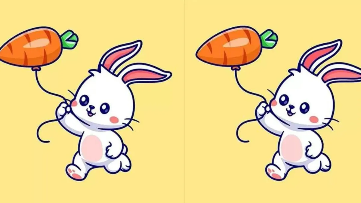 Balon tutan 2 tavşan arasındaki 3 farkı 4 saniyede bulun! 🧠🔍 Sadece dahi beyinler bu kadar hızlı problem çözebiliyor