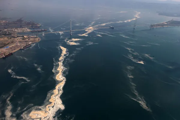 Marmara Denizi'nde yeni tehlike oksijen azlığı - 6