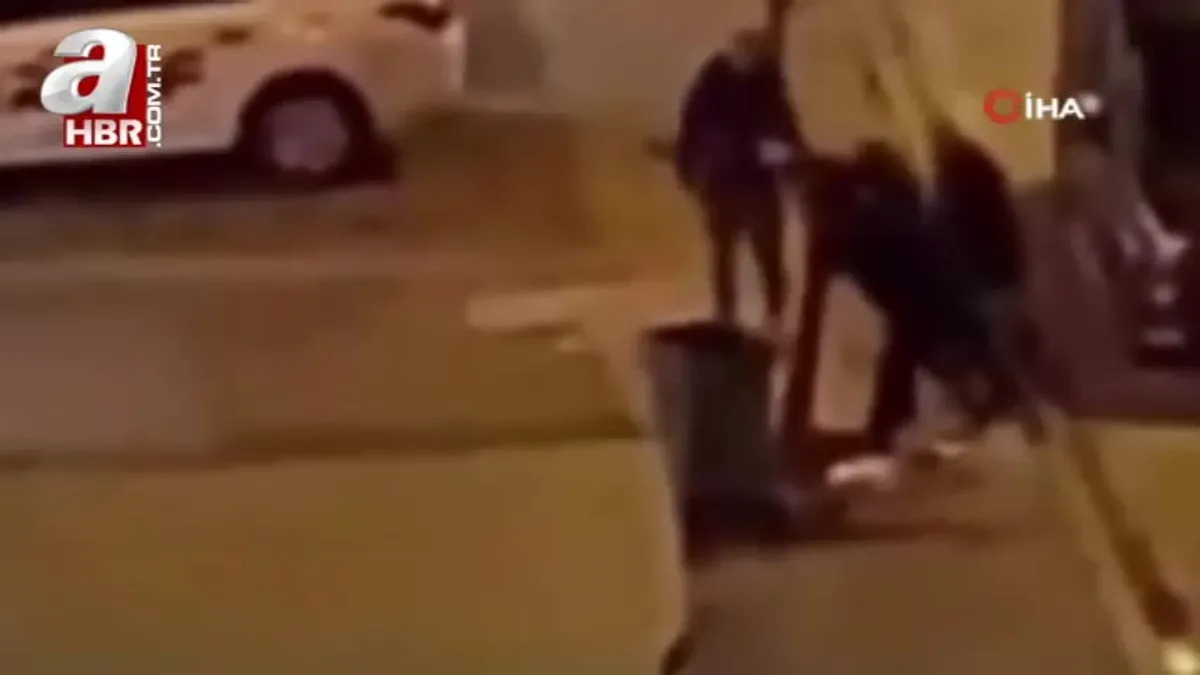 Kayseri'de ağacı söken 4 kişiye ceza