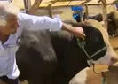 Et ve Süt Kurumu’ndan kurbanlık açıklaması