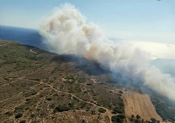 Son dakika! Çanakkale Bozcaada'da yangın
