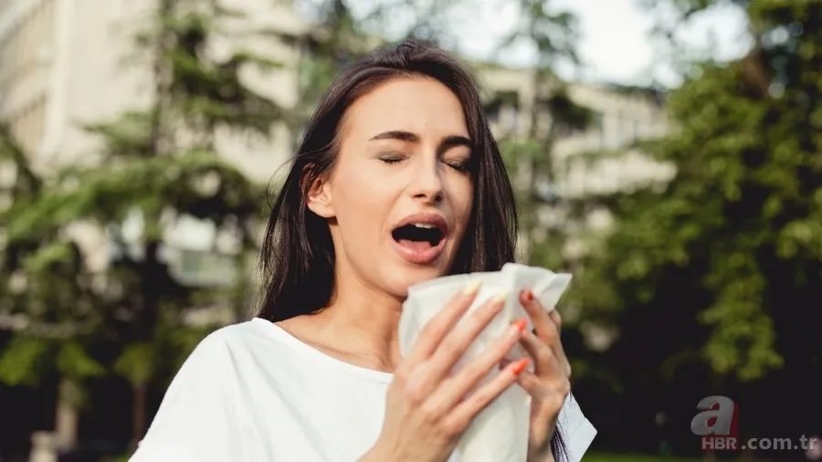 Bir anda gelen hapşırık ne anlama geliyor? Bağışıklık sisteminin gizli savunması 3