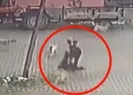 Başıboş köpek sorunu çalışması tamamlandı!
