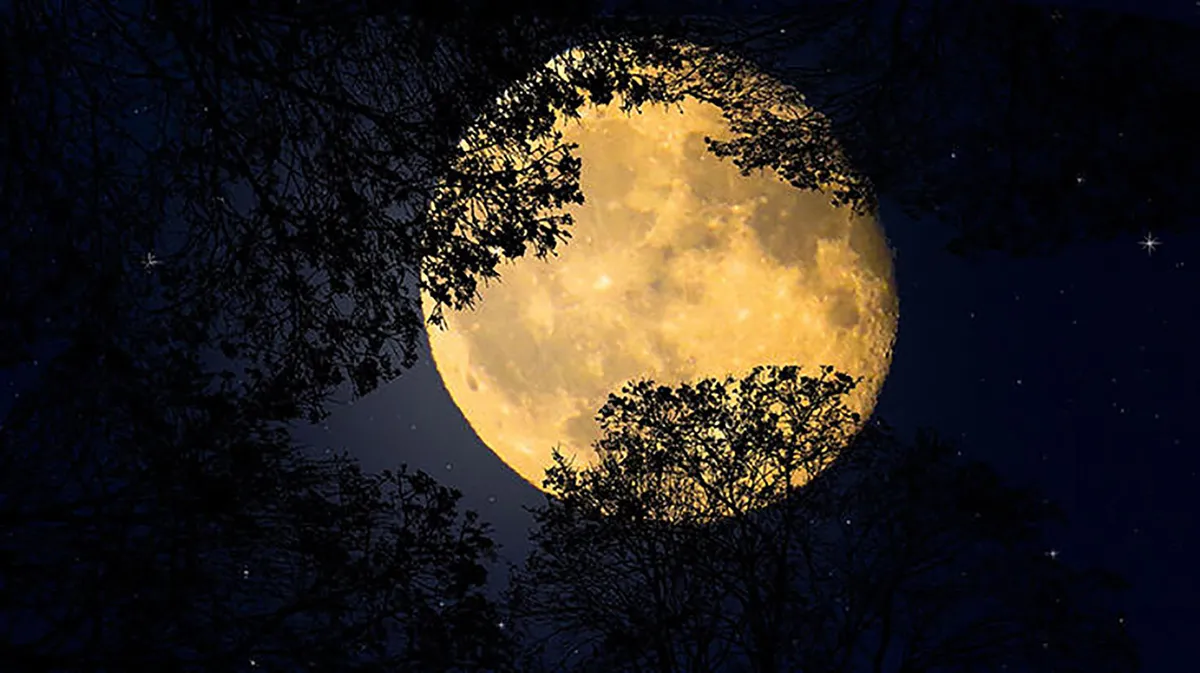 Buck Moon adı yerli topluluklardan geliyor. (Görsel: A Haber Foto Arşivi)