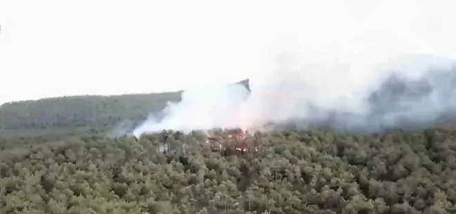 İstanbul Kayışdağı ormanında yangın çıktı