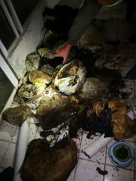 Marmaris’te bir evde çok sayıda kedi 🐱 ve köpek 🐶 ölüsü bulundu