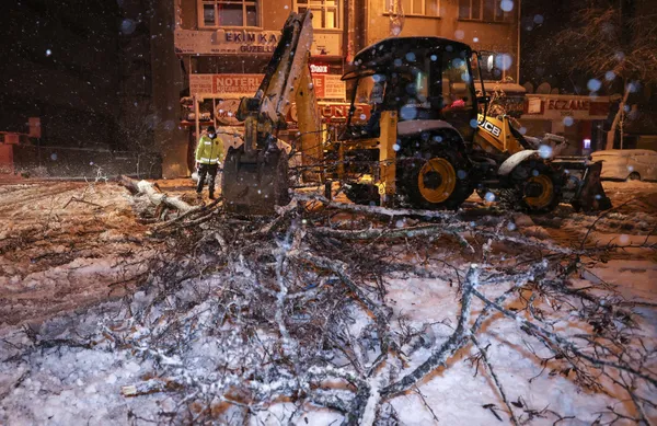 1613360246468.jpg İstanbul'da yoğun kar yağışı ağaçları devirdi - 1