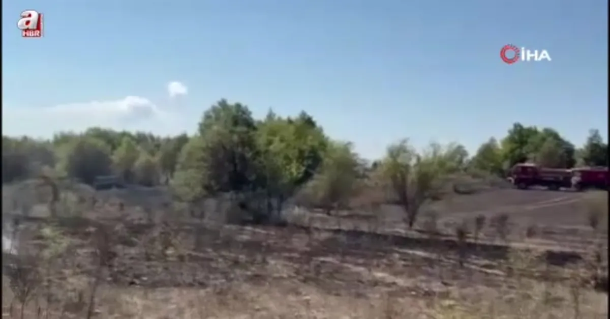 Bilecik'te yaşanan anız yangını