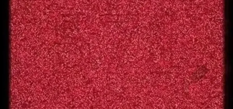 İnsanların sadece yüzde 5’i 8 saniyede görebiliyor! Matematiğe yatkın olanların bulma olasılığı daha fazla…