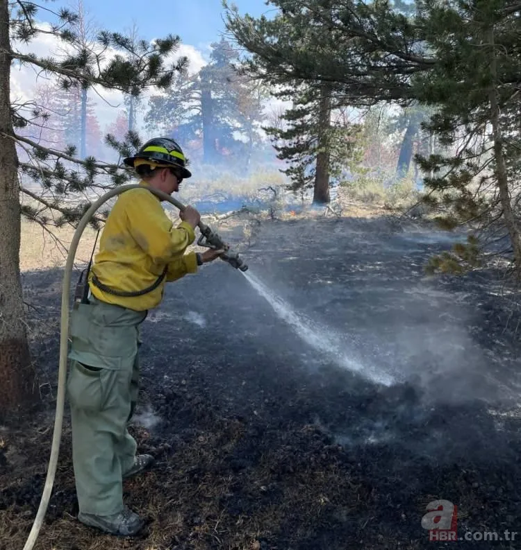 ABD'de dev orman yangını! 85 kilometrekarelik alan alevlere teslim 15