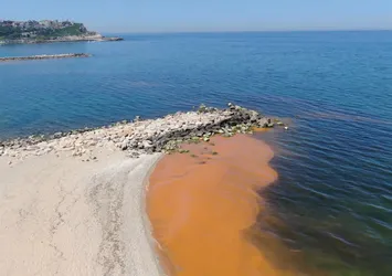 Karadeniz'de renk değişimi! Korkutan görüntünün sırrı çözüldü