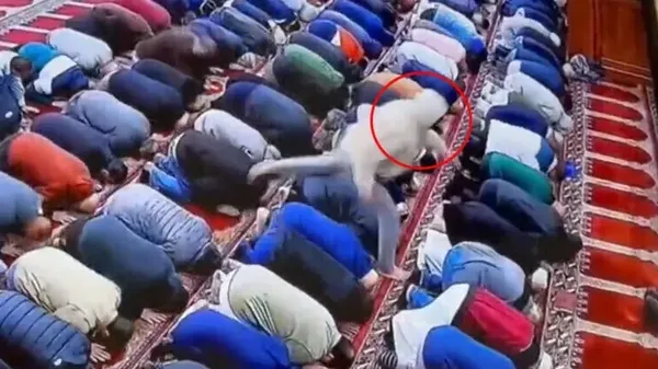 ABD’de kan donduran vahşet! Cami imamı sabah namazı kıldırırken bıçaklandı | Olayı soruşturan savcı da polis de Türk