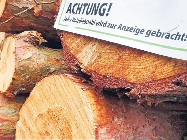 Almanya’da ’odun’ savaşları! Enerji faturası hırsızlığı patlattı