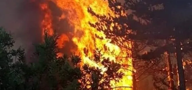 Kütahya’daki orman yangını devam ediyor! Validen açıklama geldi