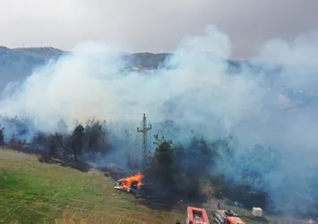 Son dakika | Bursa'da korkutan orman yangını!