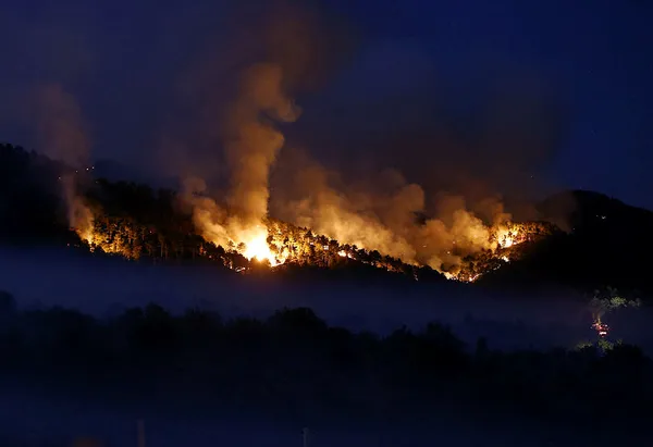 Bakan Bekir Pakdemirli’den Ankara Nallıhan’daki yangınla ilgili açıklama