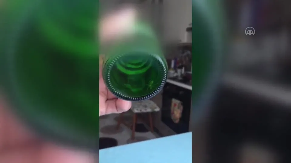 Sodanın içinden çıkan örümcek hayrete düşürdü! Binlerce liralık manevi tazminat davası açtı