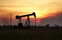 Yüzde bazında AB'nin ham petrol ithal ettiği ülkeler hangisi? En çok petrol ve gaz sahibi ülke hangisi?