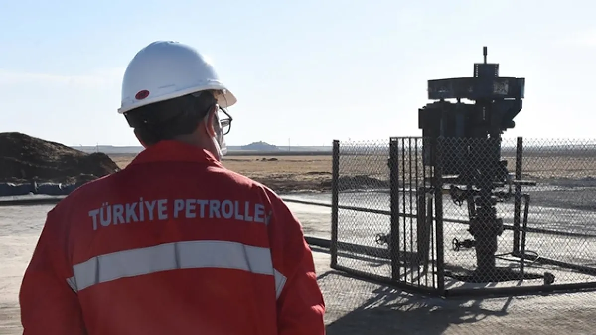 Petrol arama kararları Resmi Gazete'de! TPAO'ya iki saha için 5 yıllık ruhsat verildi - 2