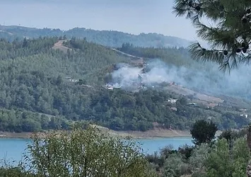 Adana'da orman yangını | Kontrol altında