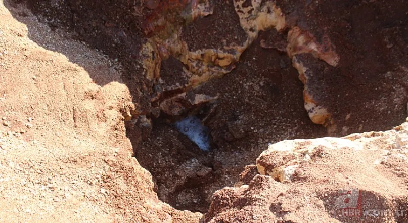 En son 2016'da görülmüştü yeniden ortaya çıktı! Tedirgin eden görüntüler: Uzmanından açıklama 2