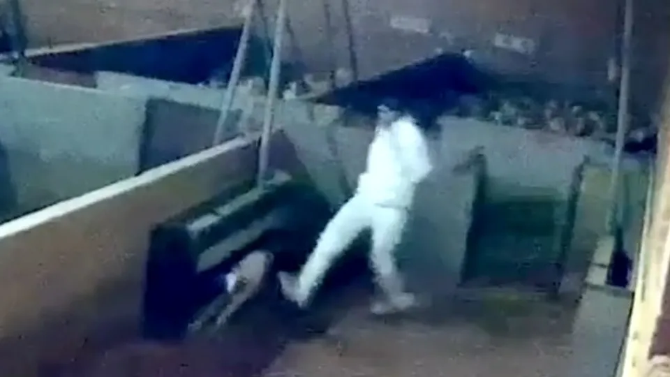 Yürek yakan görüntüler ülkeyi karıştırdı! Mezbahada kuzulara işkence kamerada